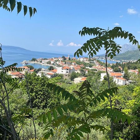 Apartment Davor Gradac  Exteriér fotografie
